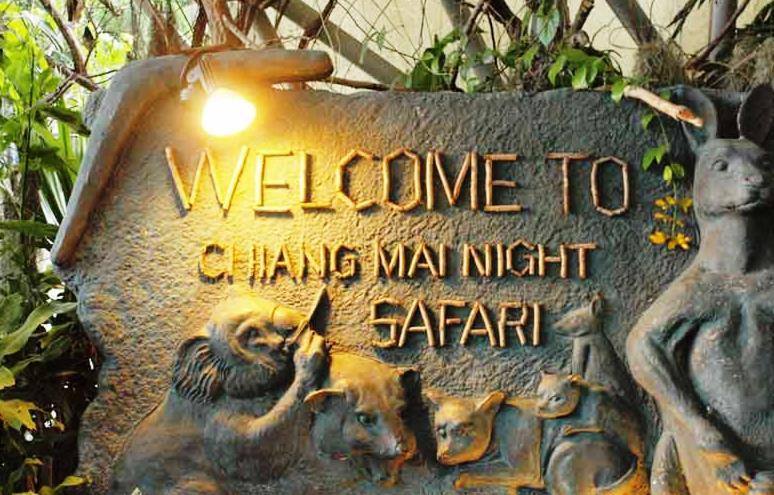 Chiangmai Night Safari Resort Chiang Mai Exterior foto
